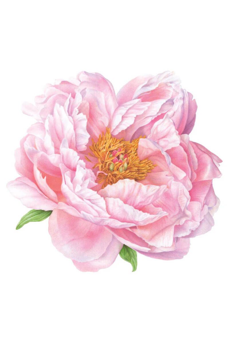 Caspari Pink Peony Placemats Set of 4 - Mildred Hoit