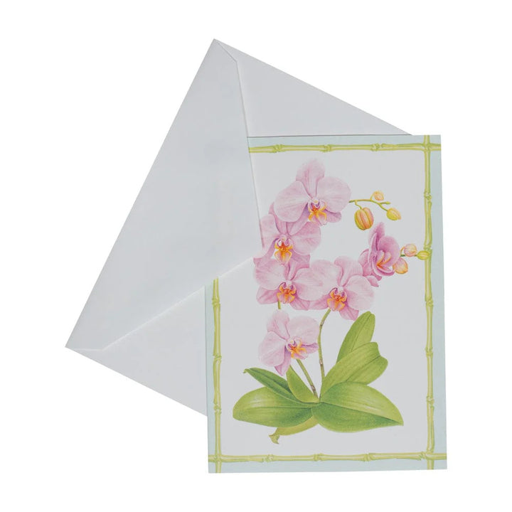 Caspari Orchid Conservatory Boxed Note Cards - Mildred Hoit