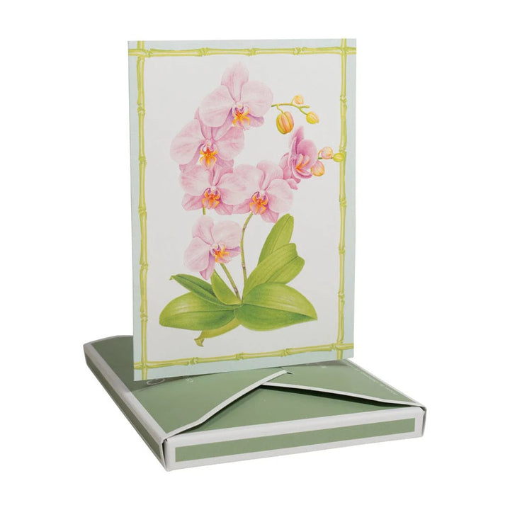 Caspari Orchid Conservatory Boxed Note Cards - Mildred Hoit
