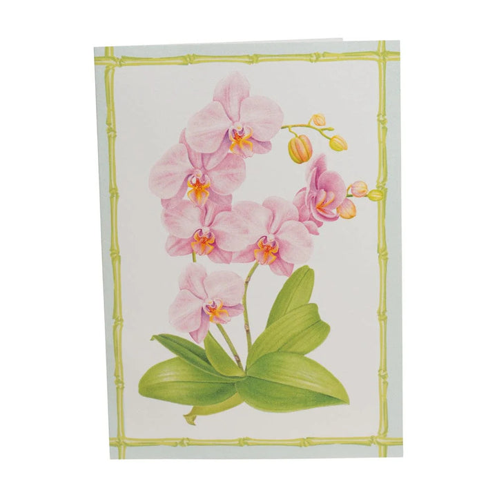 Caspari Orchid Conservatory Boxed Note Cards - Mildred Hoit