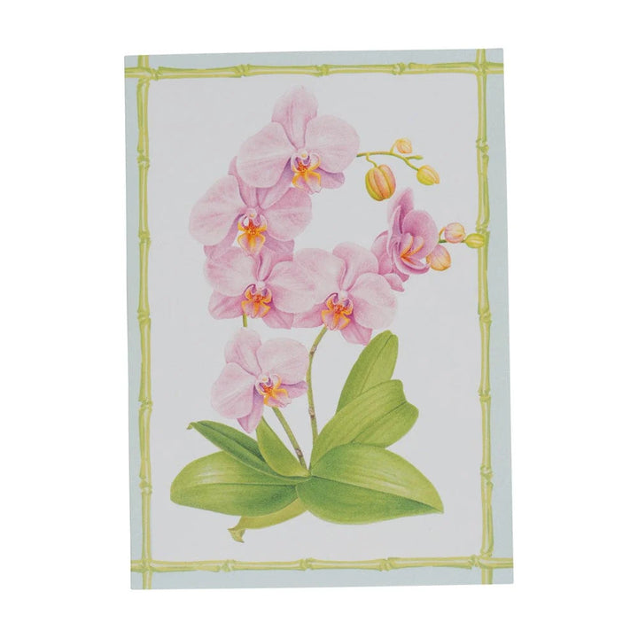 Caspari Orchid Conservatory Boxed Note Cards - Mildred Hoit