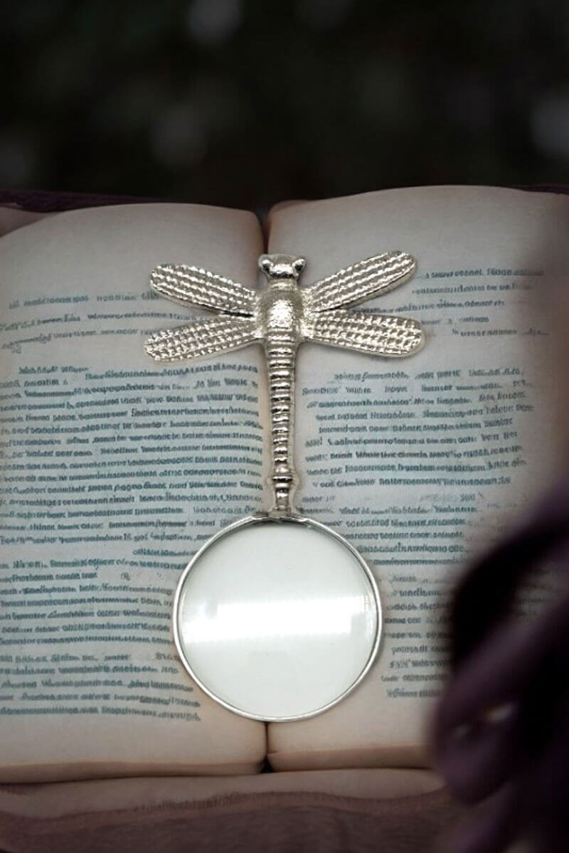 Dragonfly Magnifying Glass - Mildred Hoit