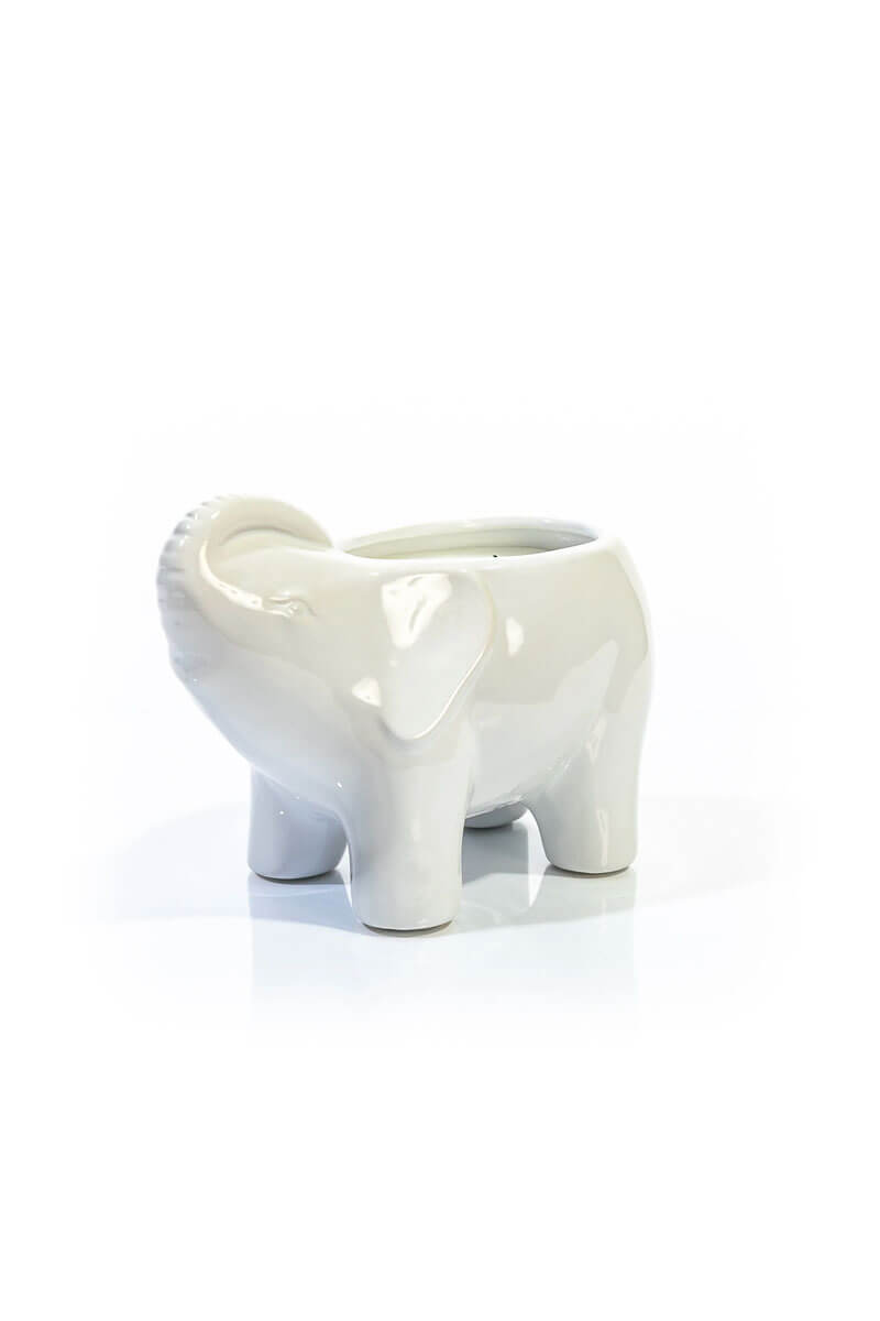 Thompson Ferrier White Elephant Candle - Mildred Hoit