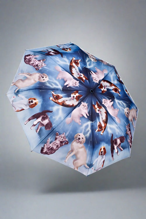 'It's Raining Cats and Dogs' Umbrella available at Mildred Hoit in Palm Beach.