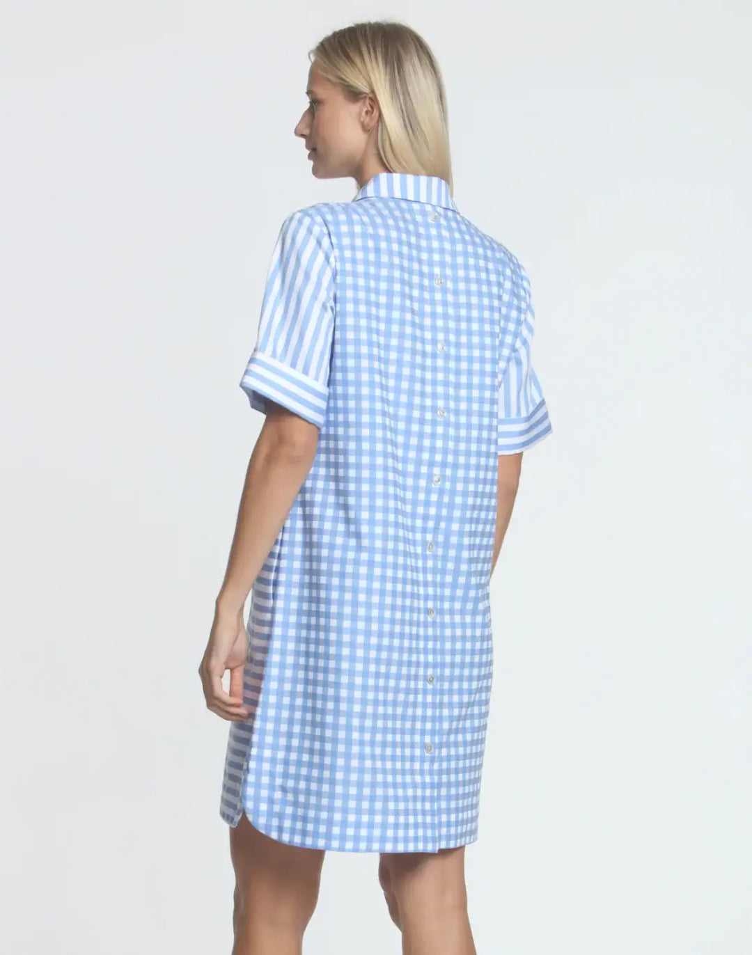 Hinson Wu Aileen Short Sleeve Stripe/Gingham Dress in Blue and White