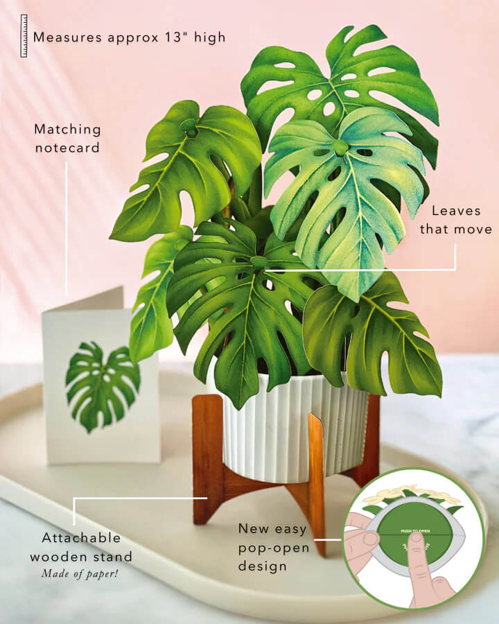 Monstera Pop-up Card - Mildred Hoit