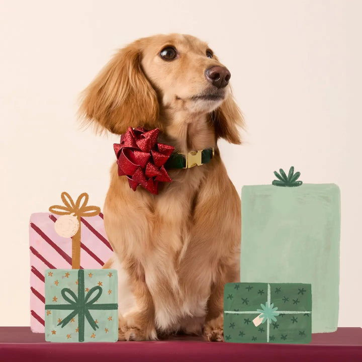 Red Gift Bow Dog Collar Attachment - Mildred Hoit