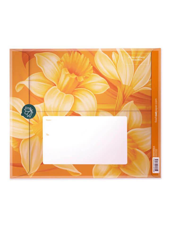 English Daffodil Pop-up Flower Card - Mildred Hoit