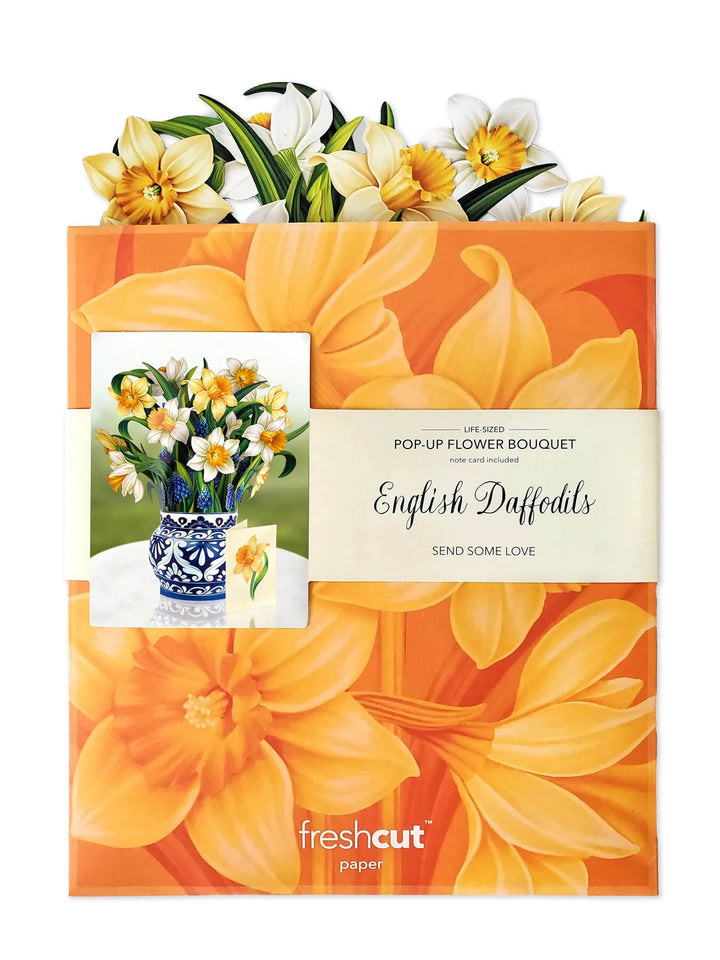 English Daffodil Pop-up Flower Card - Mildred Hoit