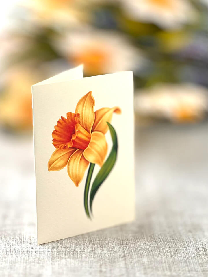 English Daffodil Pop-up Flower Card - Mildred Hoit