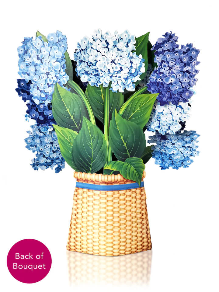 Nantucket Hydrangea Pop-up Flower Card - Mildred Hoit