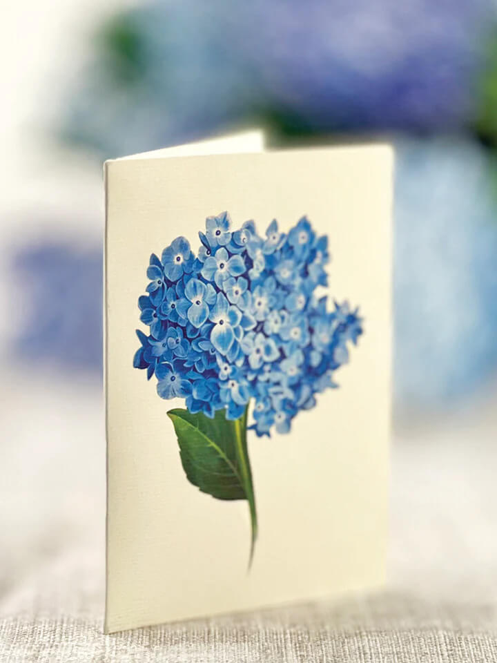 Nantucket Hydrangea Pop-up Flower Card - Mildred Hoit