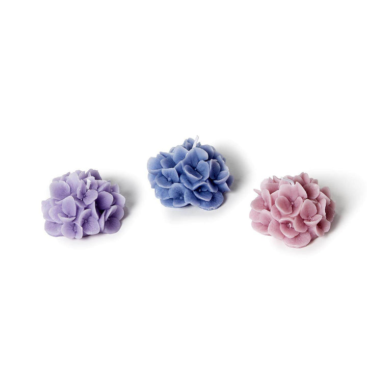 Hydrangea Set of 3 Floral Blooms Scented Candles in Gift Box