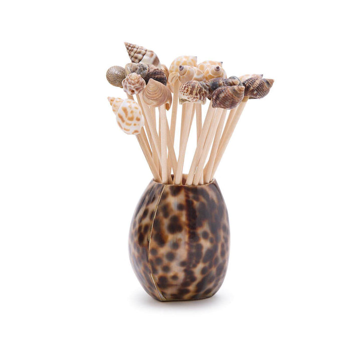 Tiger Cowrie Shell w/20 Asst Sea Shell Picks