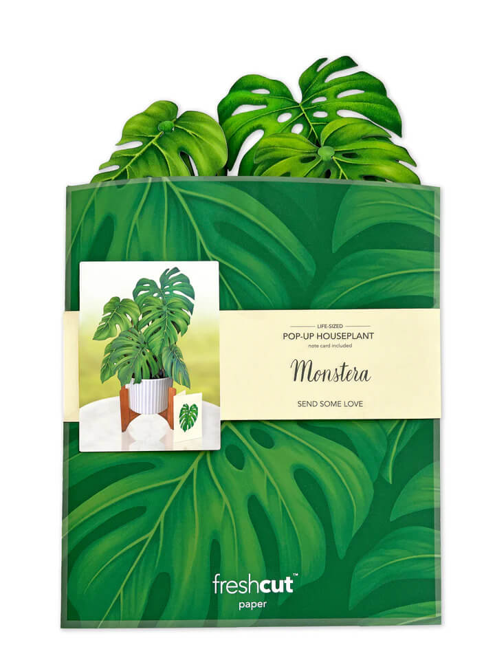 Monstera Pop-up Card - Mildred Hoit