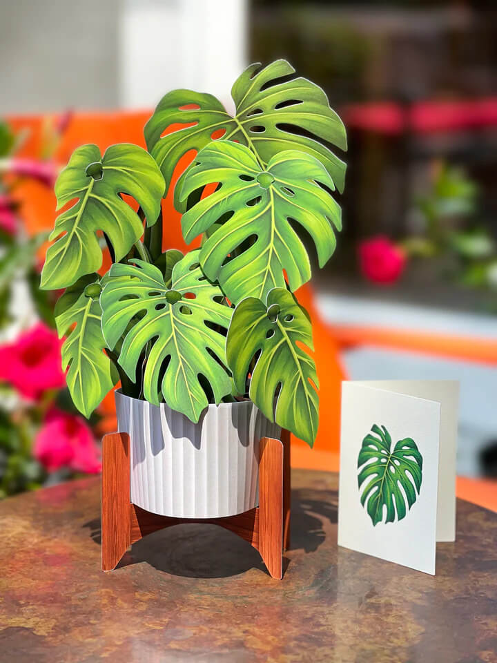 Monstera Pop-up Card - Mildred Hoit