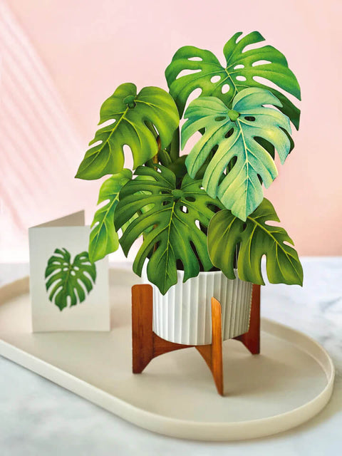 Monstera Pop-up Card available at Mildred Hoit in Palm Beach.