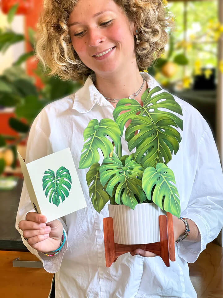 Monstera Pop-up Card - Mildred Hoit