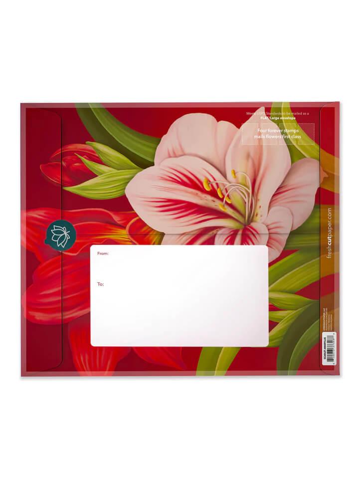 Scarlet Amarylis Pop-up Flower Card - Mildred Hoit