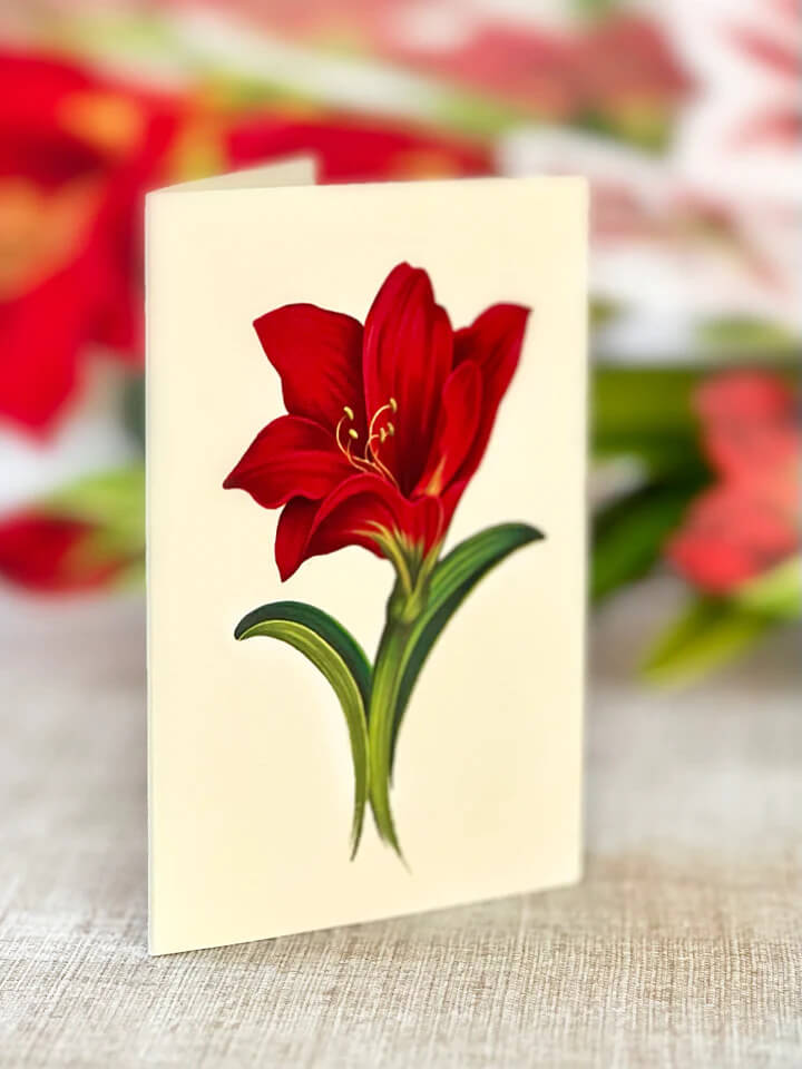 Scarlet Amarylis Pop-up Flower Card - Mildred Hoit