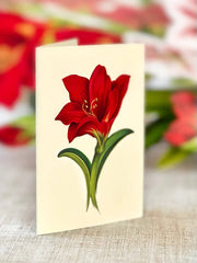 Scarlet Amarylis Pop-up Flower Card