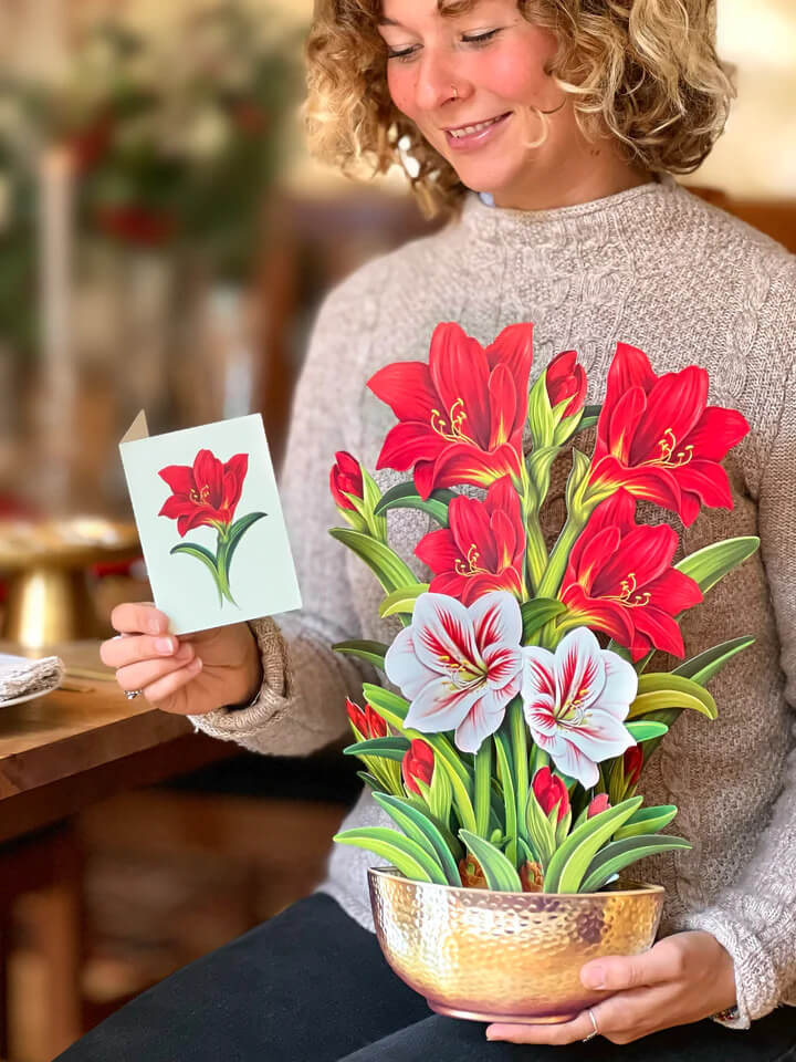 Scarlet Amarylis Pop-up Flower Card - Mildred Hoit