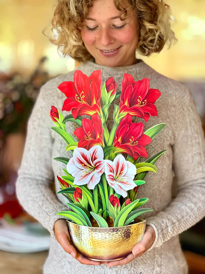 Scarlet Amarylis Pop-up Flower Card - Mildred Hoit