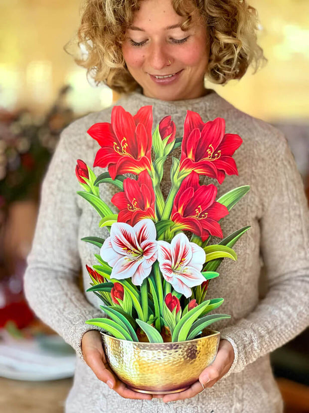 Scarlet Amarylis Pop-up Flower Card