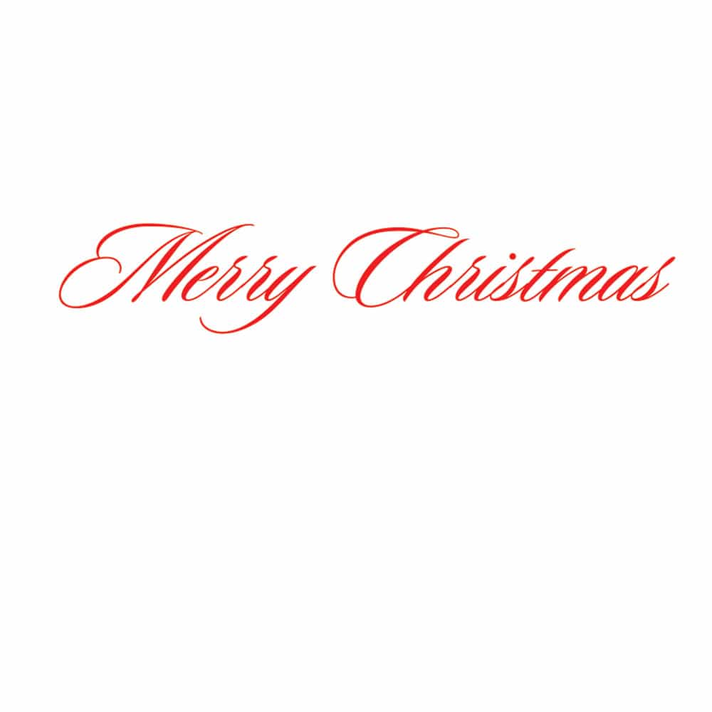 Caspari Santa Portrait Classic Boxed Christmas Cards