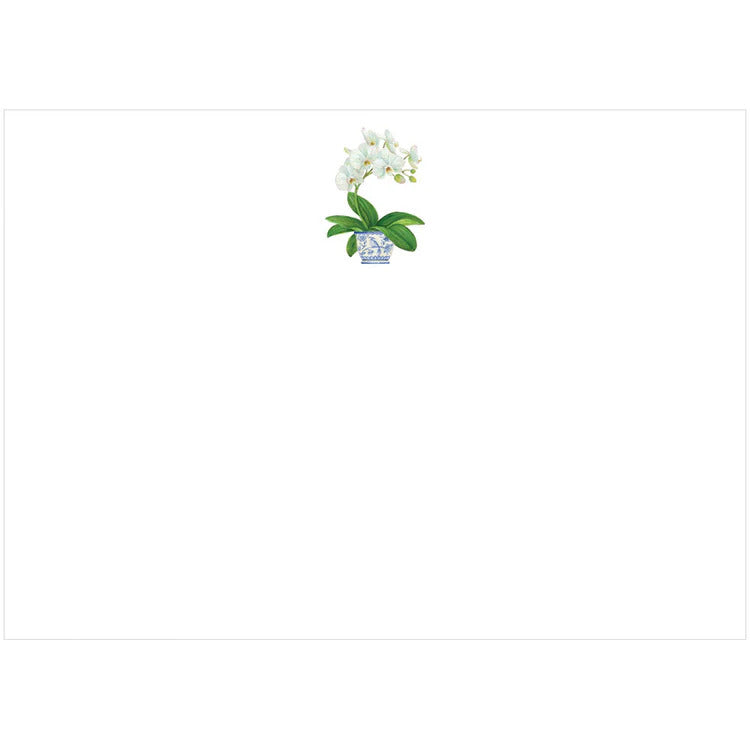 White Orchid Note Cards