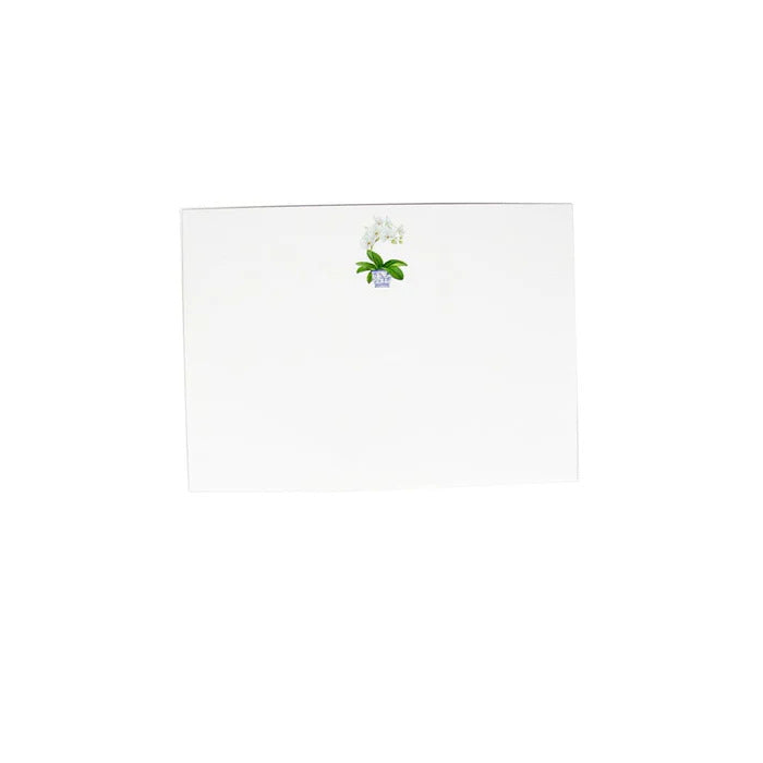 White Orchid Note Cards