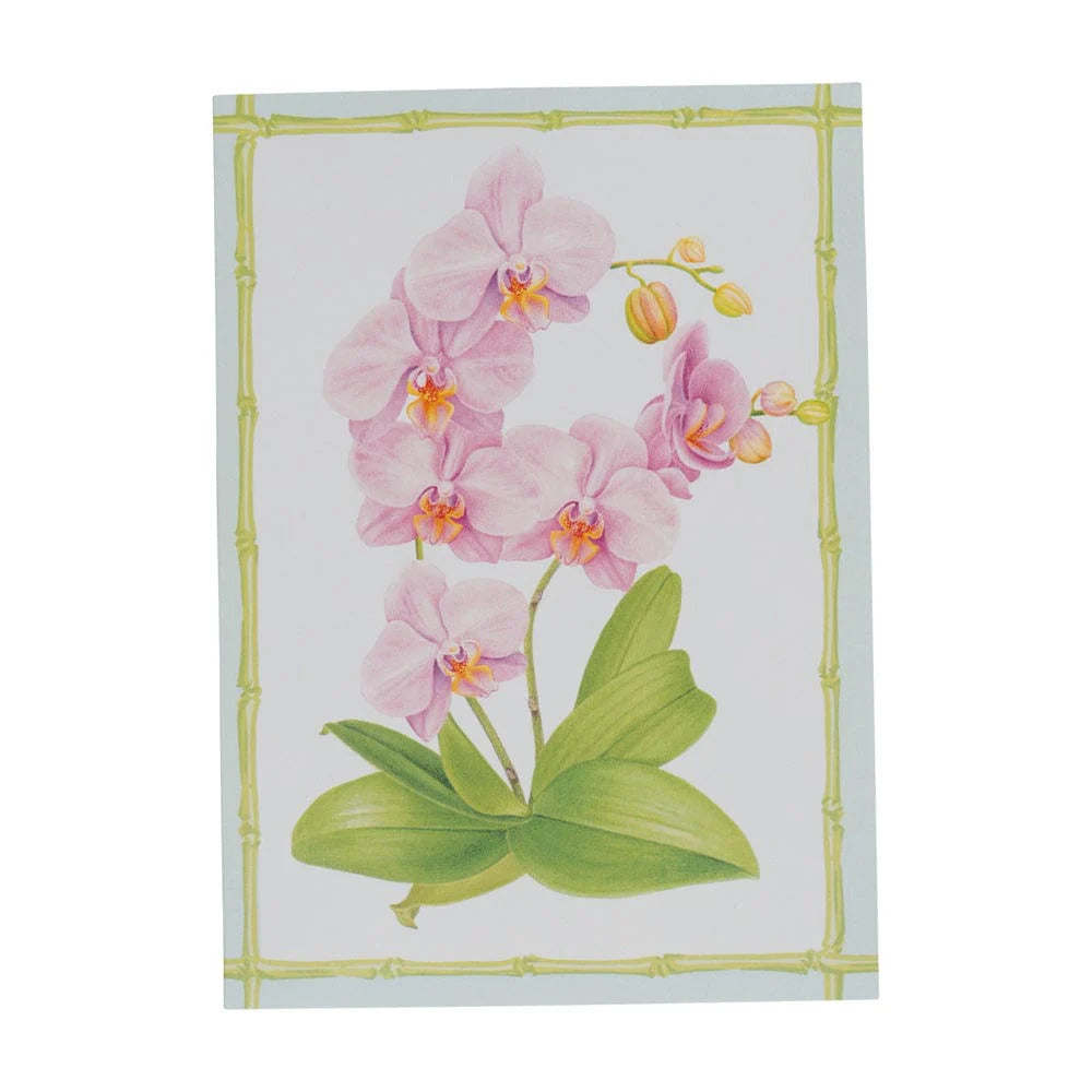 Caspari Orchid Conservatory Boxed Note Cards