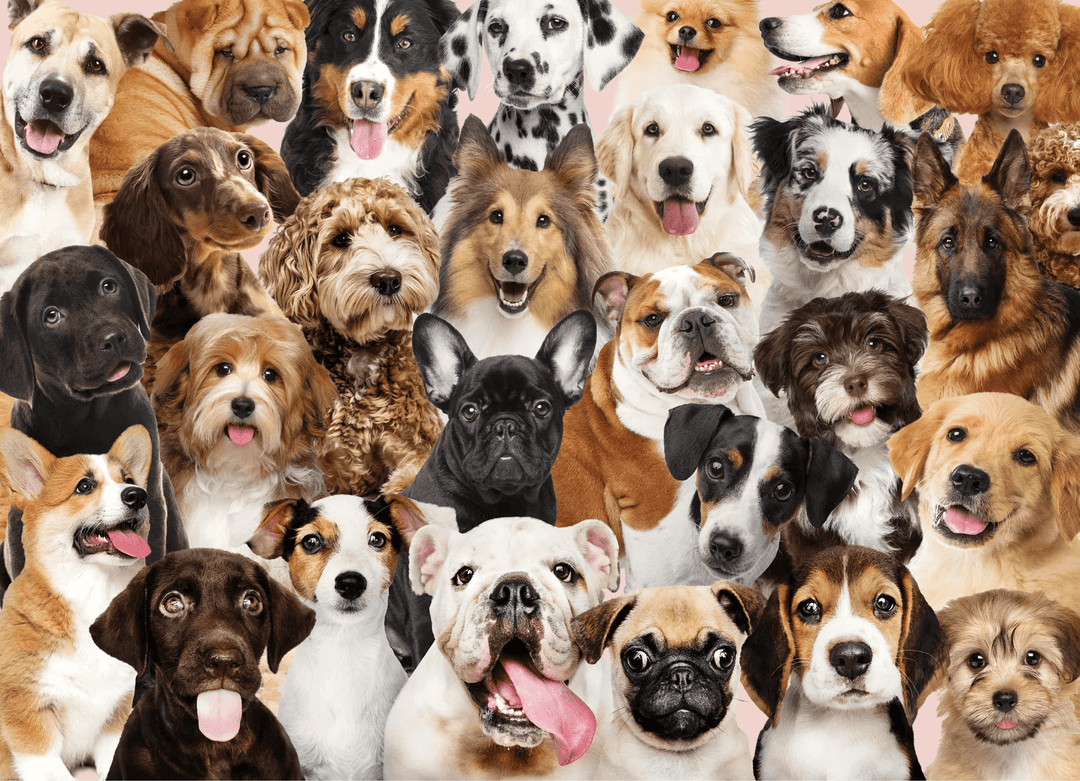 All the Dogs Jigsaw Puzzle