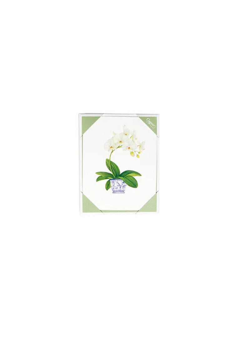 Caspari Orchid Correspondence Cards