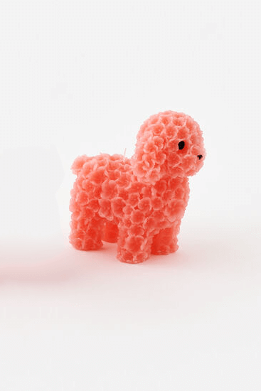 Poodle Candle in Coral