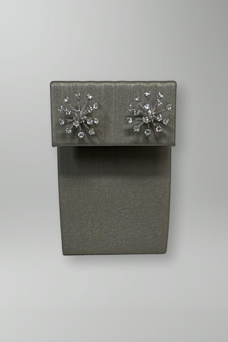 Starburst Earrings in Silver - Mildred Hoit