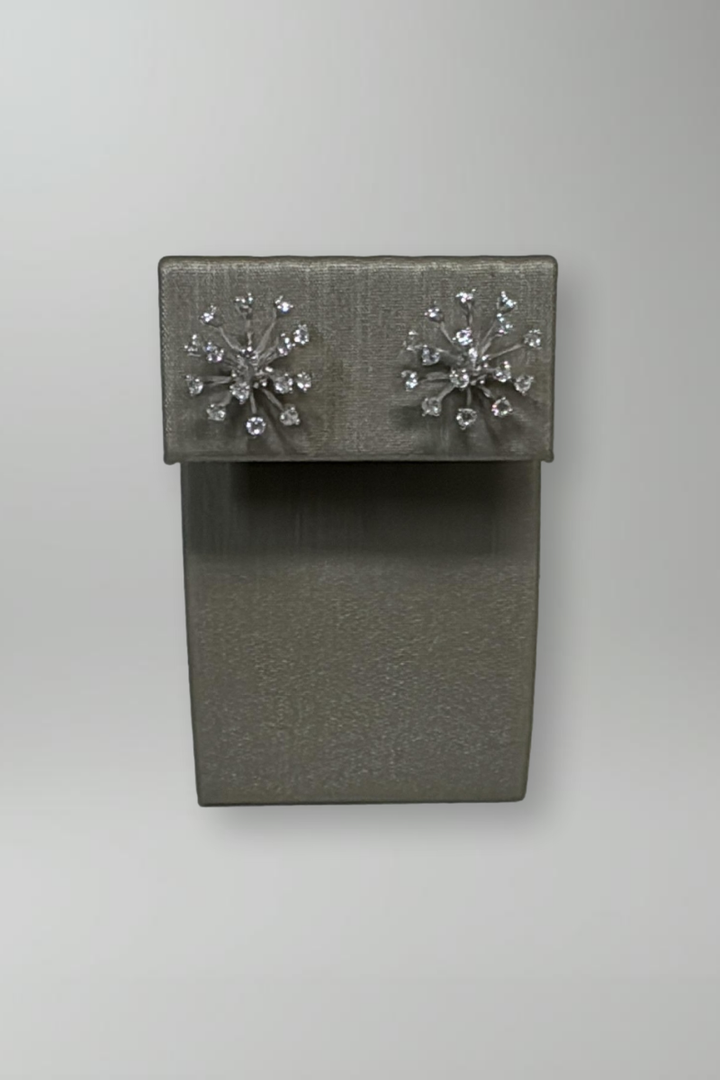 Starburst Earrings in Silver - Mildred Hoit
