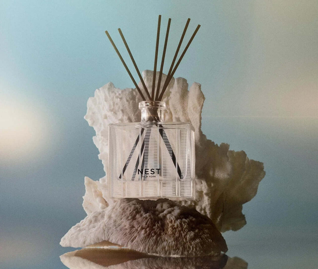 Nest Fragrances Reed Diffuser - Ocean & Sea Salt