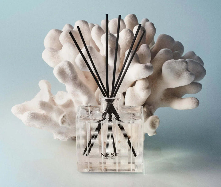 Nest Fragrances Reed Diffuser - Ocean & Sea Salt