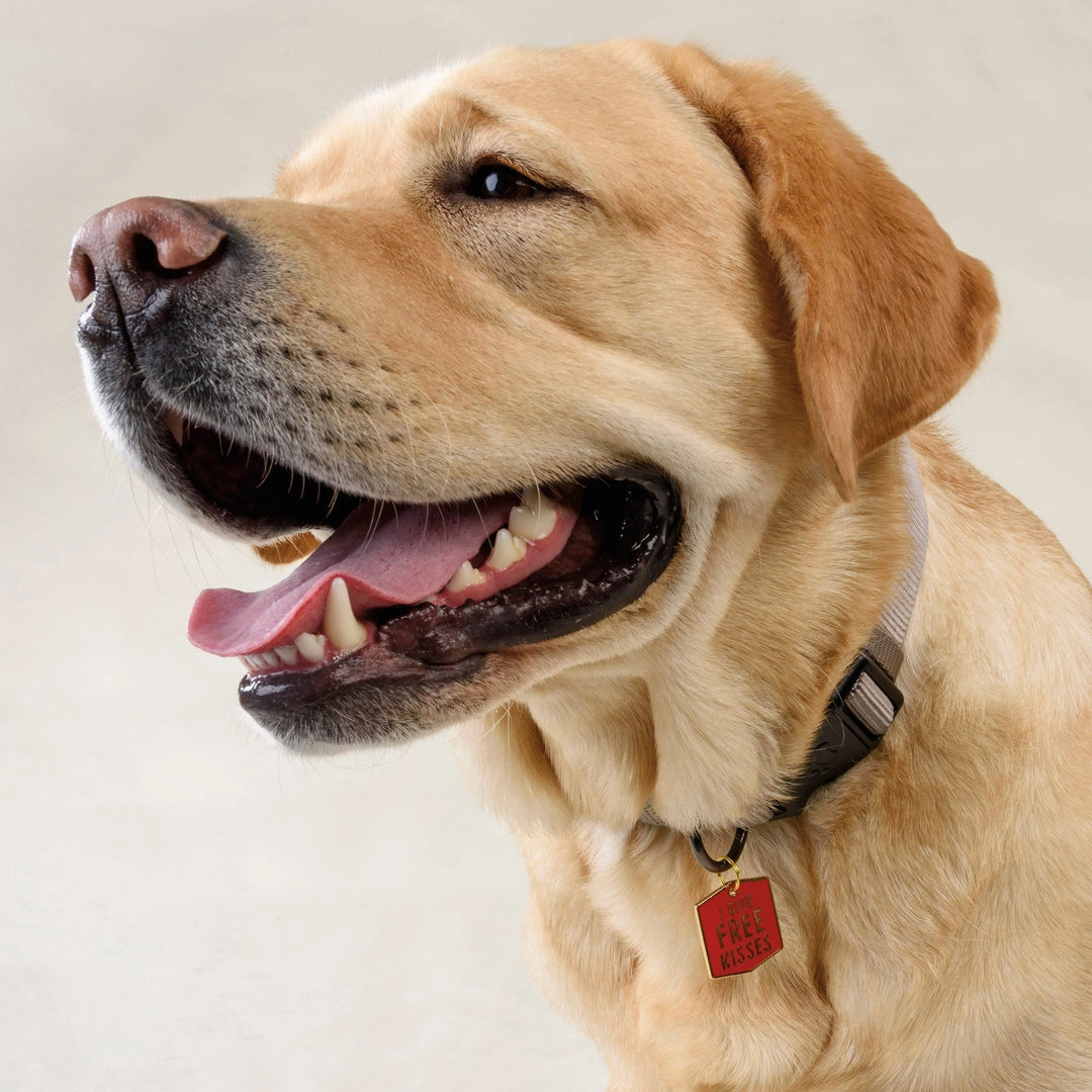 I Give Free Kisses Pet Collar Charm - Mildred Hoit