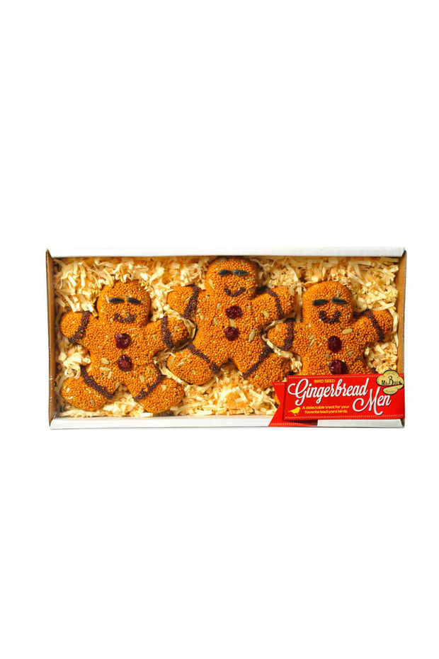 Gingerbread Men Bird Seed Ornaments - Set of 3