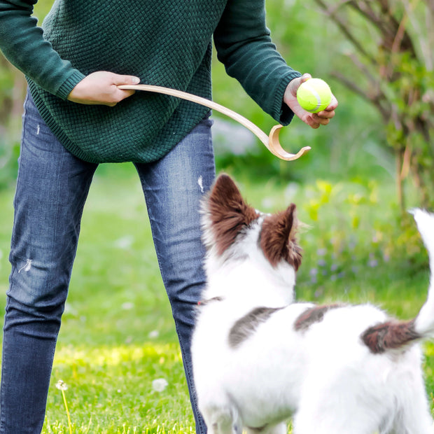 Wooden Ball Launcher for Dogs