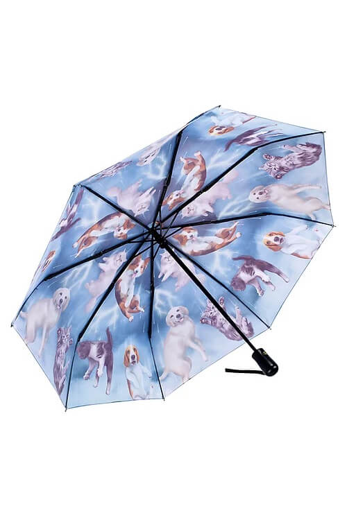 'It's Raining Cats and Dogs' Umbrella