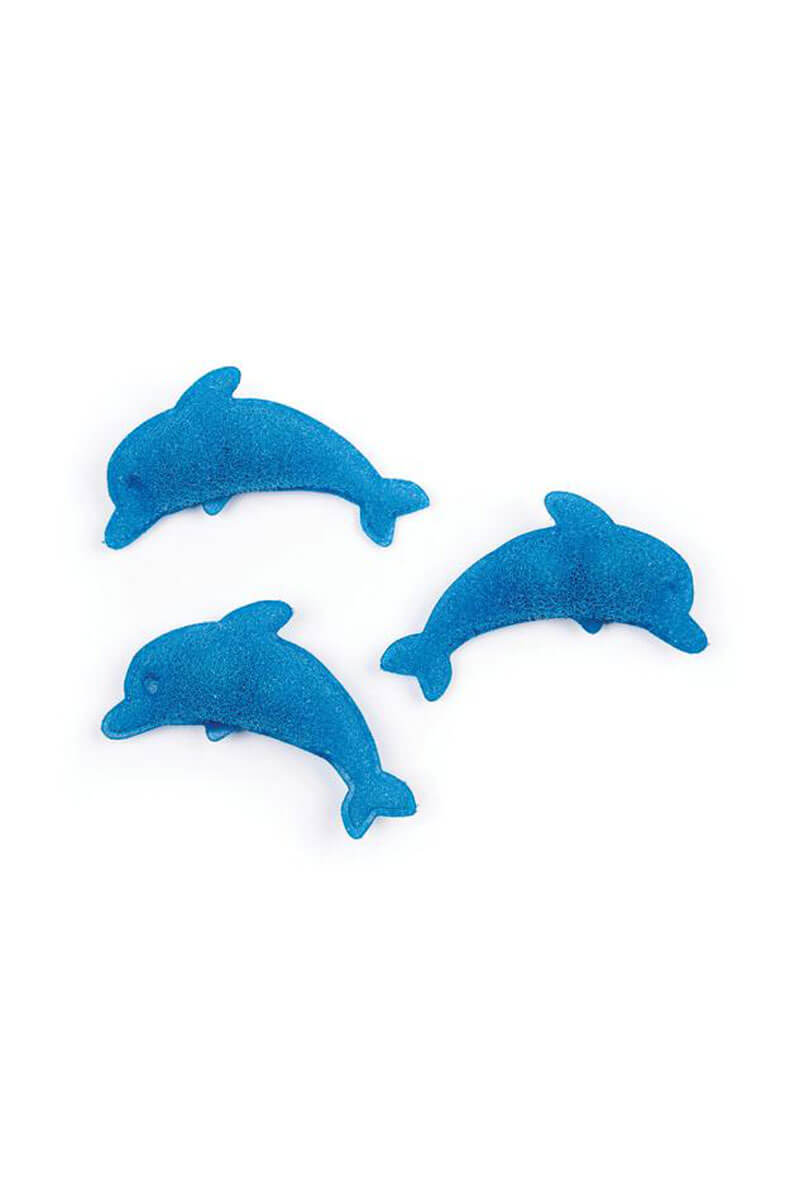 Dolphin Bottle Cleaning Sponges - Mildred Hoit