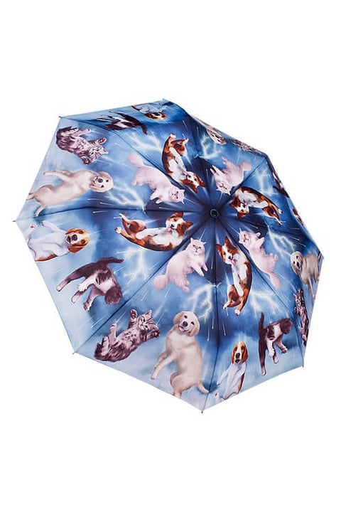 'It's Raining Cats and Dogs' Umbrella available at Mildred Hoit in Palm Beach.
