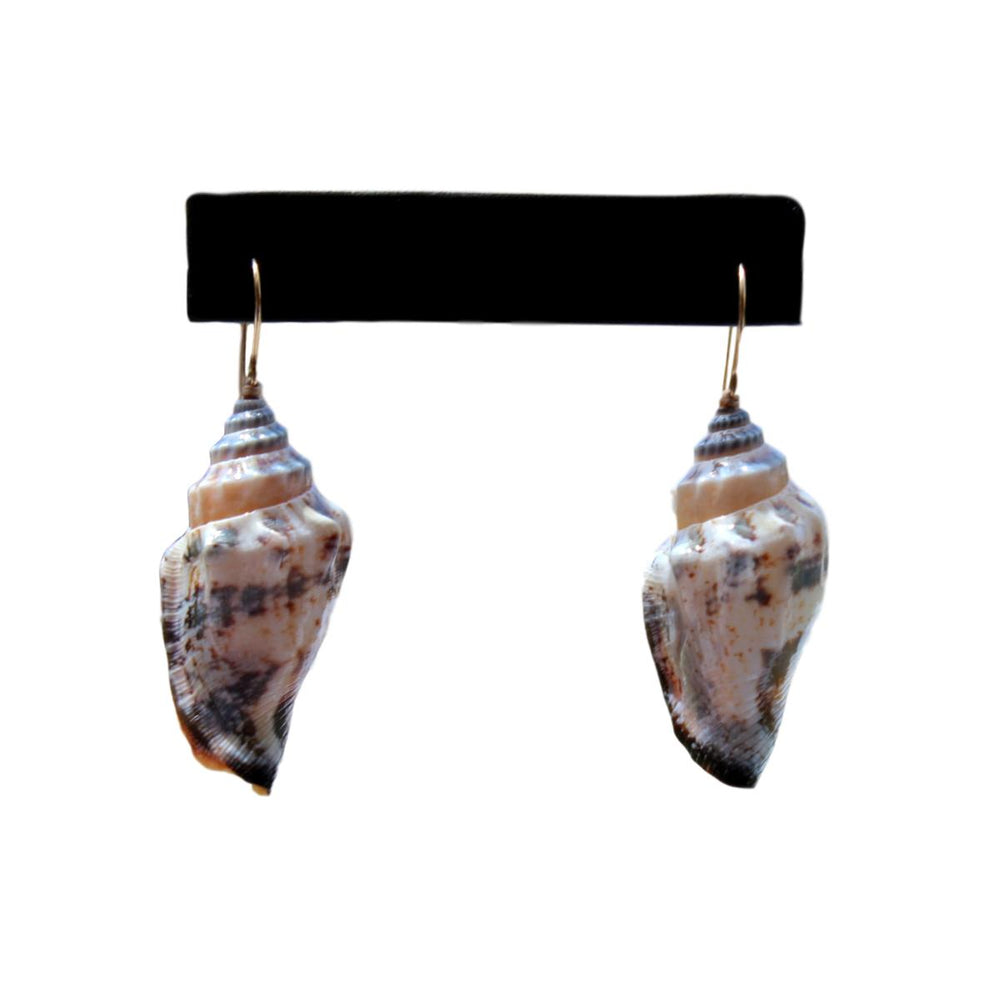 Shell Earrings - Mildred Hoit